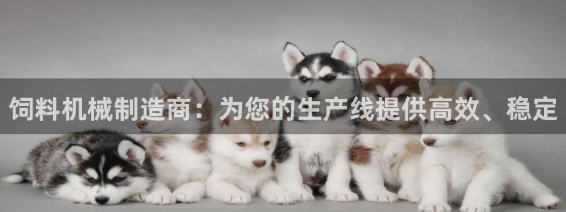 九游会 app