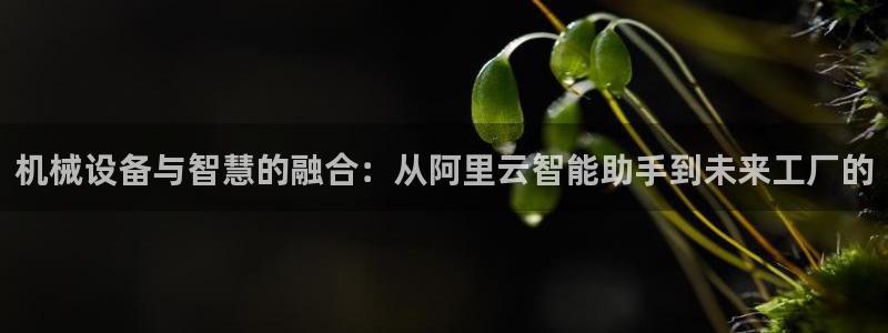 ag久游：机械设备与