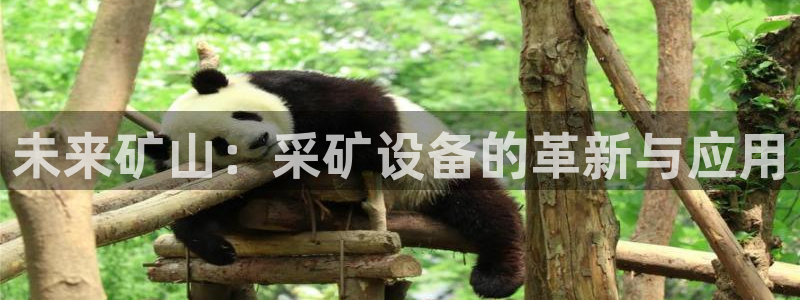 九游会集团币圈